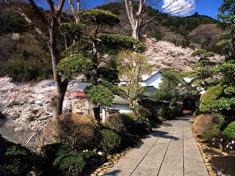 Motoyu Ryokan Atsugi Εξωτερικό φωτογραφία