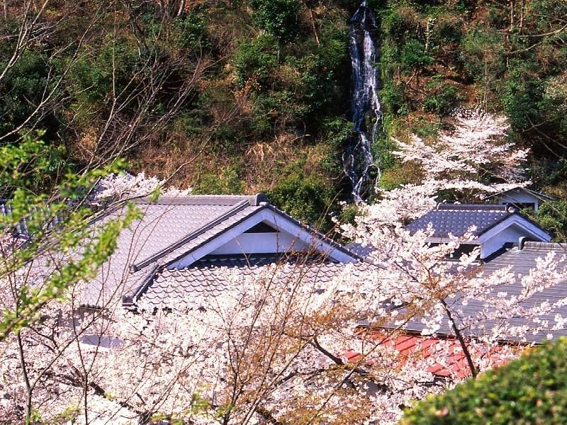 Motoyu Ryokan Atsugi Εξωτερικό φωτογραφία