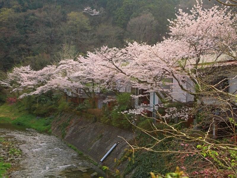 Motoyu Ryokan Atsugi Εξωτερικό φωτογραφία