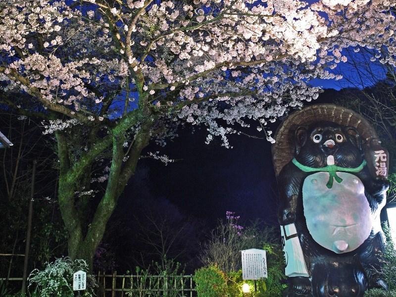 Motoyu Ryokan Atsugi Εξωτερικό φωτογραφία