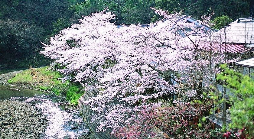 Motoyu Ryokan Atsugi Εξωτερικό φωτογραφία
